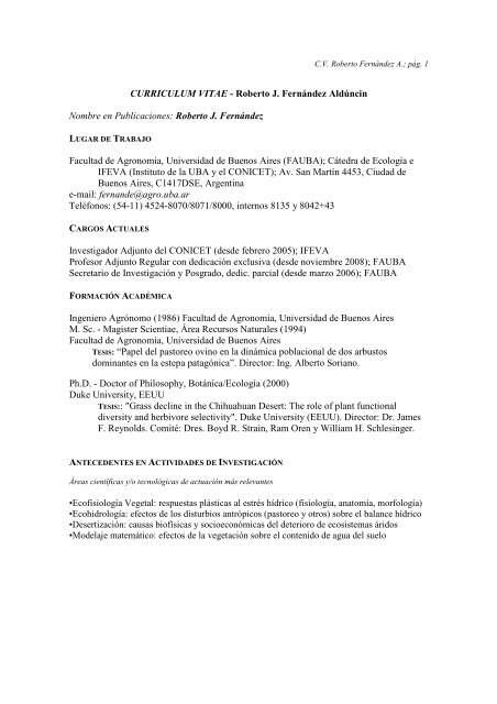 CURRICULUM VITAE - Roberto J. FernÃ¡ndez AldÃºncin Nombre en ...