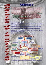 mapa conceptual - Contenidos Educativos Digitales