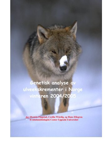 Genetisk analyse av ulveekskrementer i Norge vinteren 2004/2005