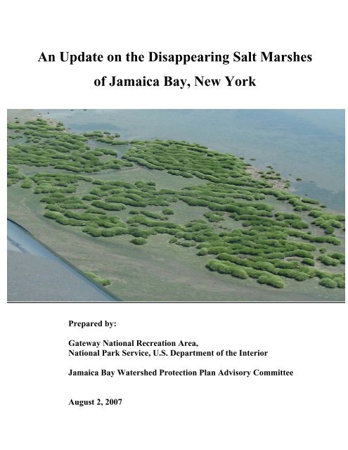 An Update on the Disappearing Salt Marshes of Jamaica Bay, New ...