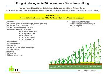 Fungizidstrategien bei Weizen