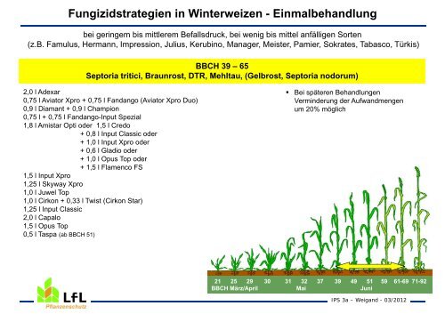 Fungizidstrategien bei Weizen