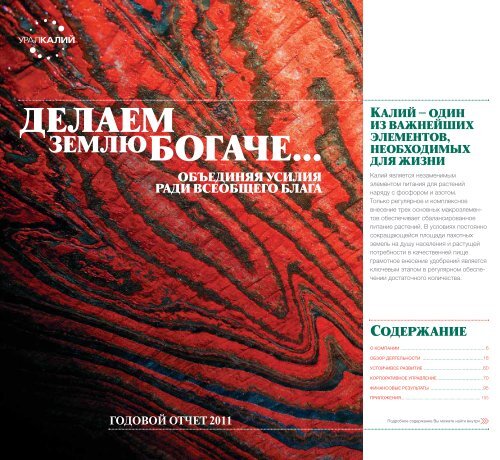 Курсовая работа по теме Анализ экономической деятельности предприятия 'Уралкалий'