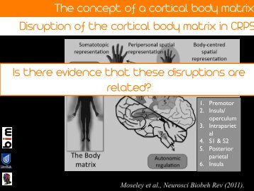 Moseley et al., Neurosci Biobeh Rev (2011). - Body in Mind