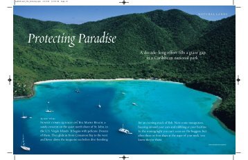 Protecting Paradise - Whalehead.com