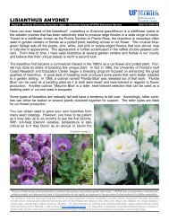 Lisianthus Anyone? - Charlotte County Cooperative Extension