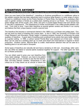 Lisianthus Anyone? - Charlotte County Cooperative Extension