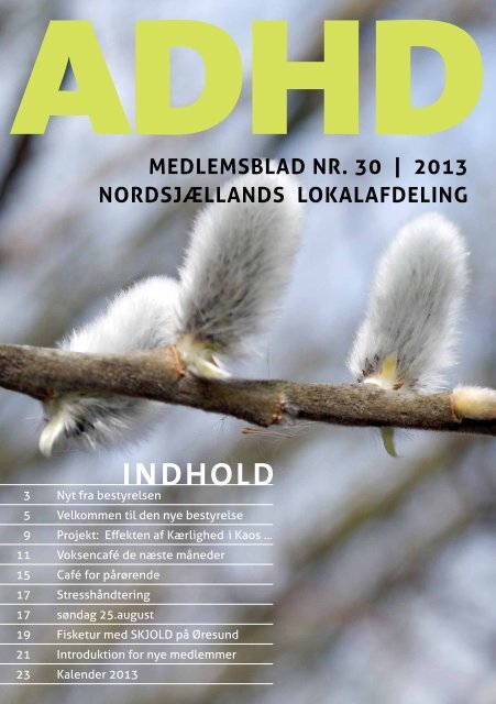 INDHOLD - ADHD: Foreningen