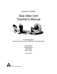 Sea Otter Unit Teacher's Manual - Kids' Planet