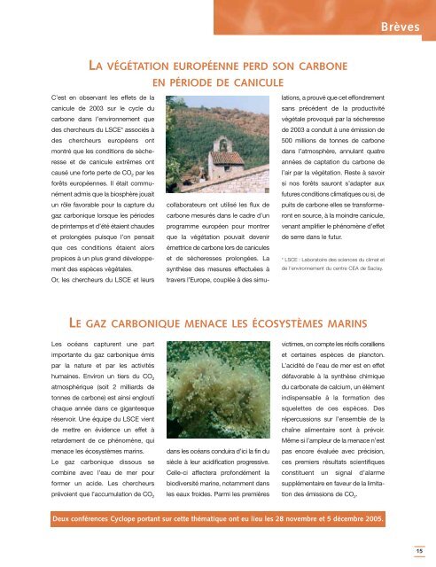 Journal de Saclay n°31 - CEA Saclay