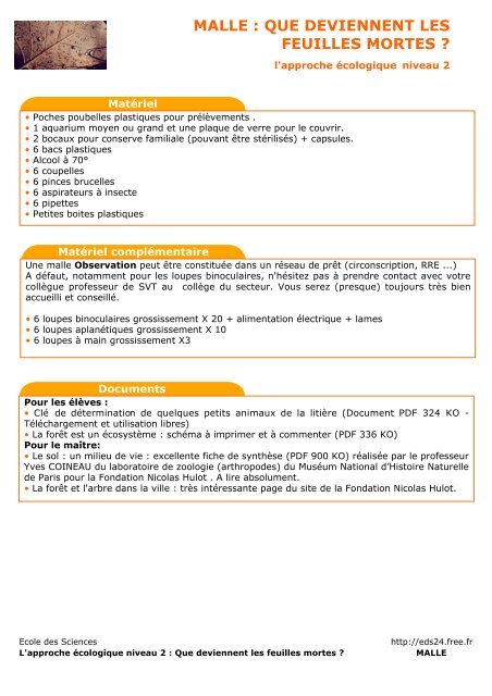 Que deviennent les feuilles mortes - Conseil gÃ©nÃ©ral de la Dordogne