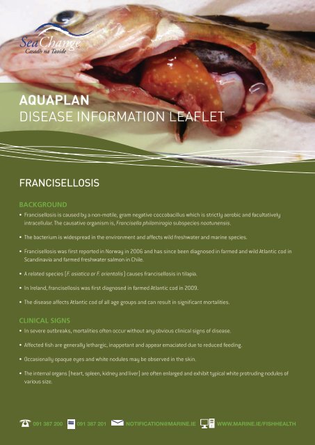 Download disease information leaflet on ... - Marine Institute