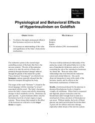 Physiological and Behavioral Effects of Hyperinsulinism on Goldfish