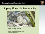 Abouelezz_Piping Plovers 2013 .pdf - New York-New Jersey Harbor ...