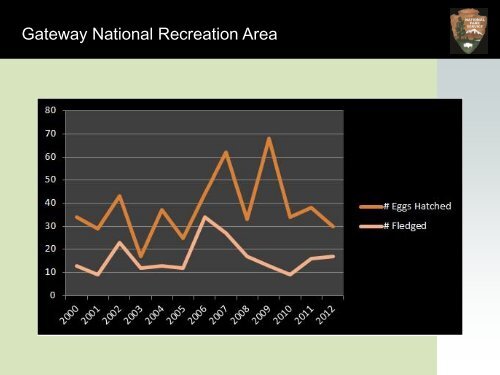 Abouelezz_Piping Plovers 2013 .pdf - New York-New Jersey Harbor ...