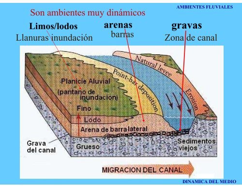 AMBIENTES FLUVIALES