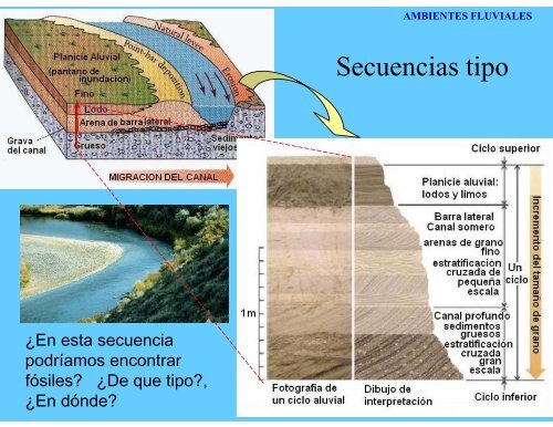 AMBIENTES FLUVIALES