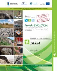 Eksperymenty z trzema Å¼ywioÅami - Ziemia - Projekt Ekologia