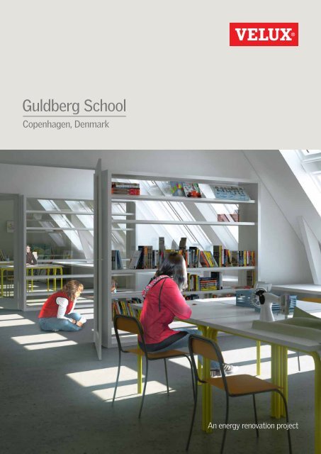 Guldberg School - Velux