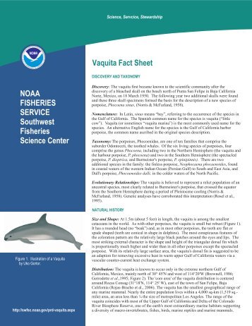 Vaquita Fact Sheet Version 3.cdr - SWFSC - NOAA