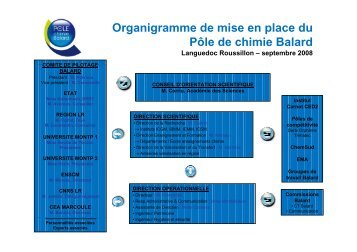 Organigramme de mise en place du PÃ´le de chimie Balard