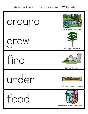 Life in the Forest First Grade Word Wall Cards - Little Book Lane