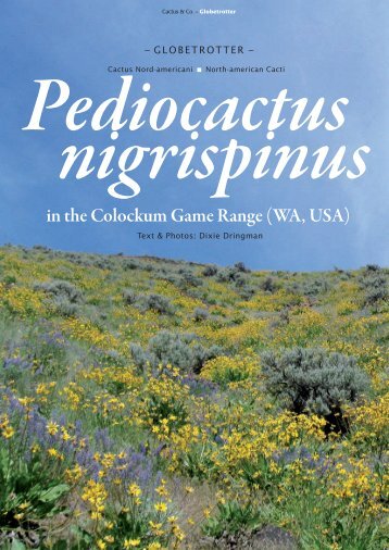 Pediocactus nigrispinus - Cacti Guide