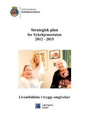 Strategisk plan for SYE 2012-2015 - Sykehjemsetaten