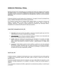 DERECHO PROCESAL PENAL - Prociuk