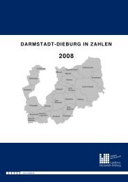 Darmstadt-Dieburg in Zahlen 2008 - Landkreis Darmstadt Dieburg