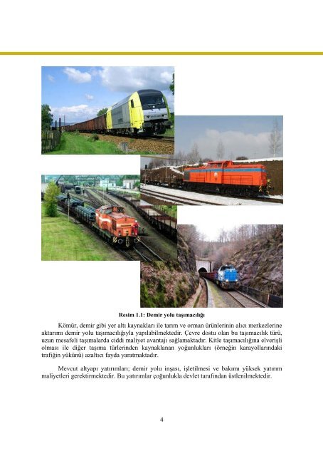 demiryolu taşımacaılığı.pdf