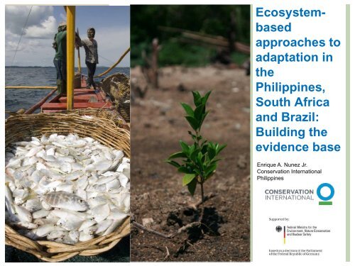 Ecosystem- based approaches to adaptation in the Philippines ...