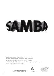 SAMBA (Subjektive Arbeits-, Motivations- und Bildungsanalyse)