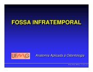 FOSSA INFRATEMPORAL FOSSA INFRATEMPORAL - ICB - UFMG