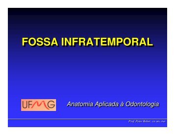 FOSSA INFRATEMPORAL FOSSA INFRATEMPORAL - ICB - UFMG