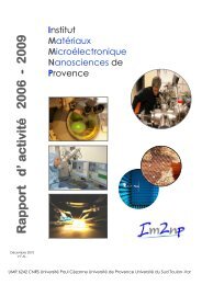 Rapport d'activitÃ© Im2np 2006 - 2009