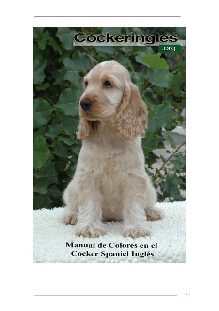 La Herencia Del Color En El Cocker Cockeringles La Herencia Del Color En El Cocker Cockeringles