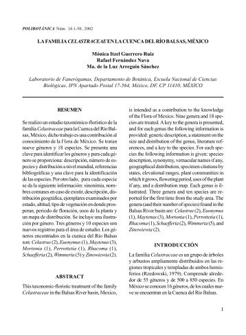 versiÃ³n extensa PDF (1882 Kb) - PolibotÃ¡nica