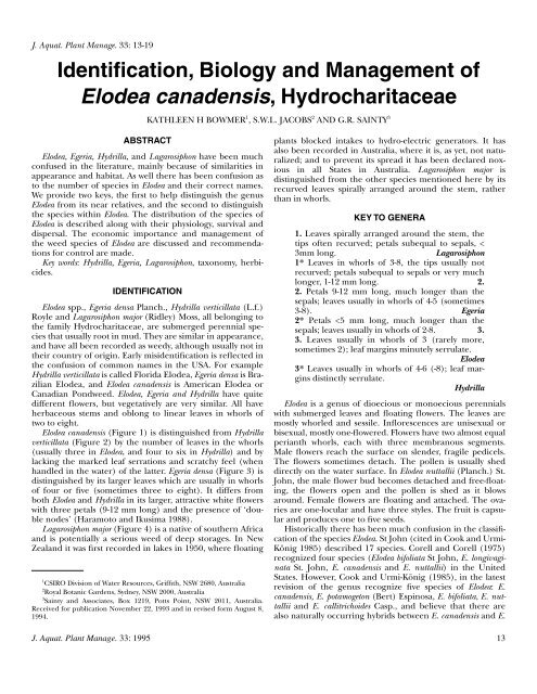 Identification, Biology and Management of Elodea canadensis ...