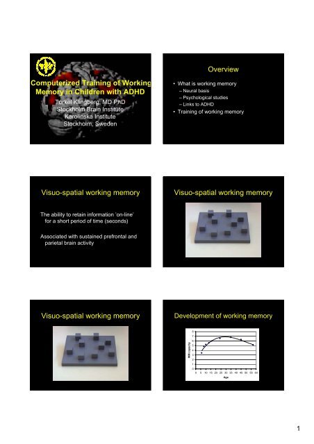 The development of working memory in children top