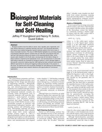 Bioinspired Materials for Self-Cleaning and Self-Healing - Sottos ...