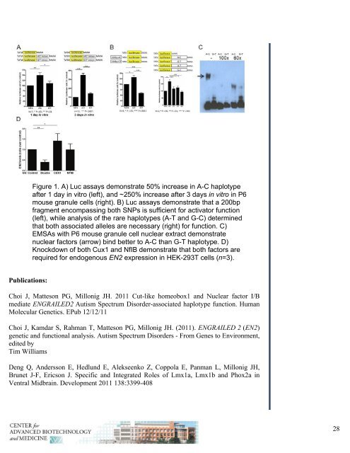 Annual Report 2011 - Center for Advanced Biotechnology and ...