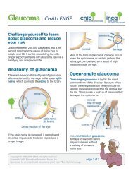 Anatomy of glaucoma Open-angle glaucoma - CNIB