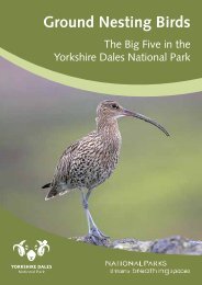 Ground Nesting Birds - Yorkshire Dales National Park