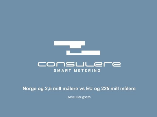 Arve Haugseth, Consulere - Energi Norge