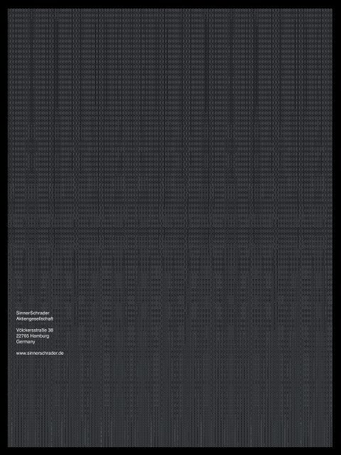 ANNUAL REPORT 2008 | 2009 - SinnerSchrader AG