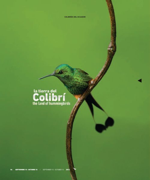 La tierra del ColibrÃ­ - Abordo.com.ec