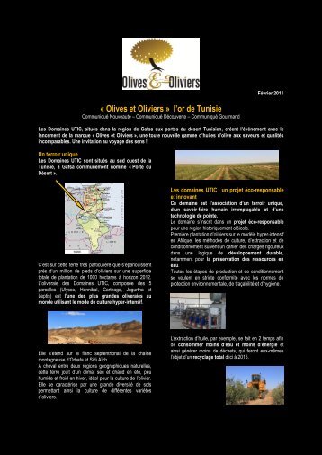 Â« Olives et Oliviers Â» l'or de Tunisie - Agence force4