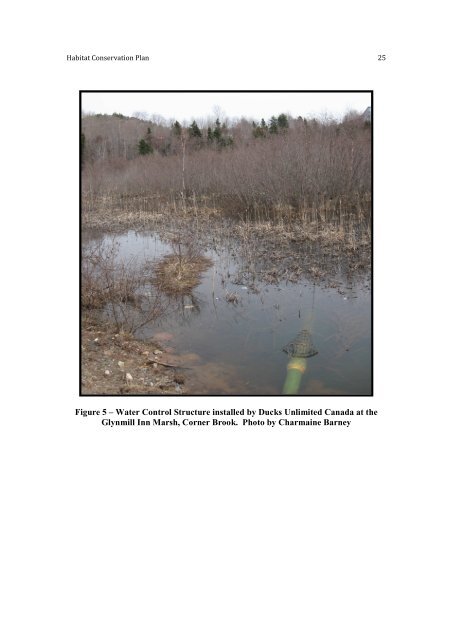 Habitat Conservation Plan Habitat Conservation Plan for the Town ...