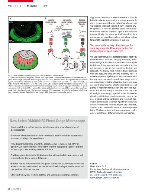 reSOLUTION_Research_09_Neuroscience - Leica Microsystems